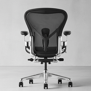 Ergonomic Office Chairs