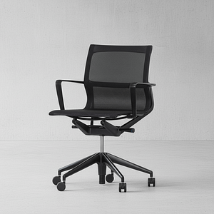 Vitra Physix Office Chair (Refurbished)
